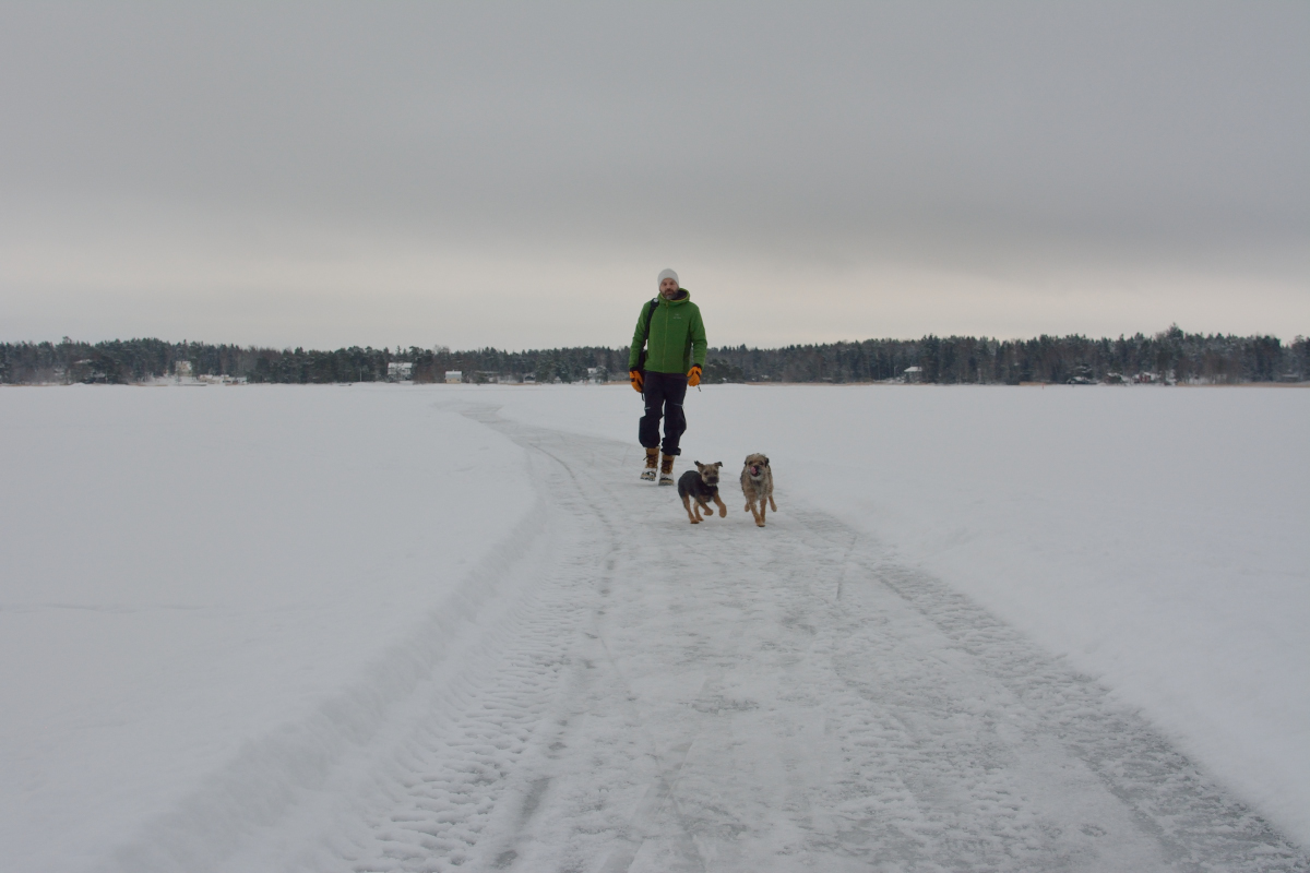 Koirat rakastivat lenkkiä jäätiellä lumessa rämpimisen sijaan.