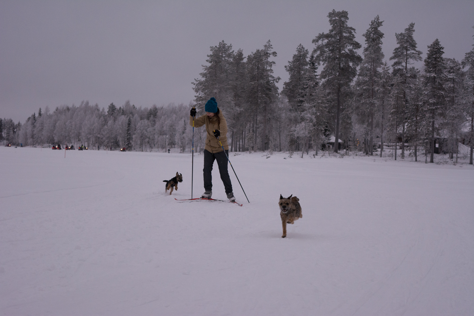Rukalla päästiin lumille. Järven jäällä pääsi koiratkin ottamaan vauhtia!