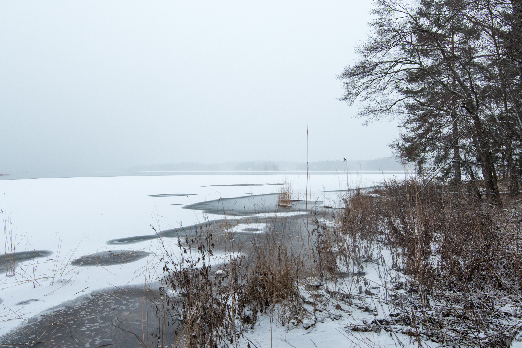 Rannassa vesi oli auki, eikä jääkään näyttänyt tukevalta.