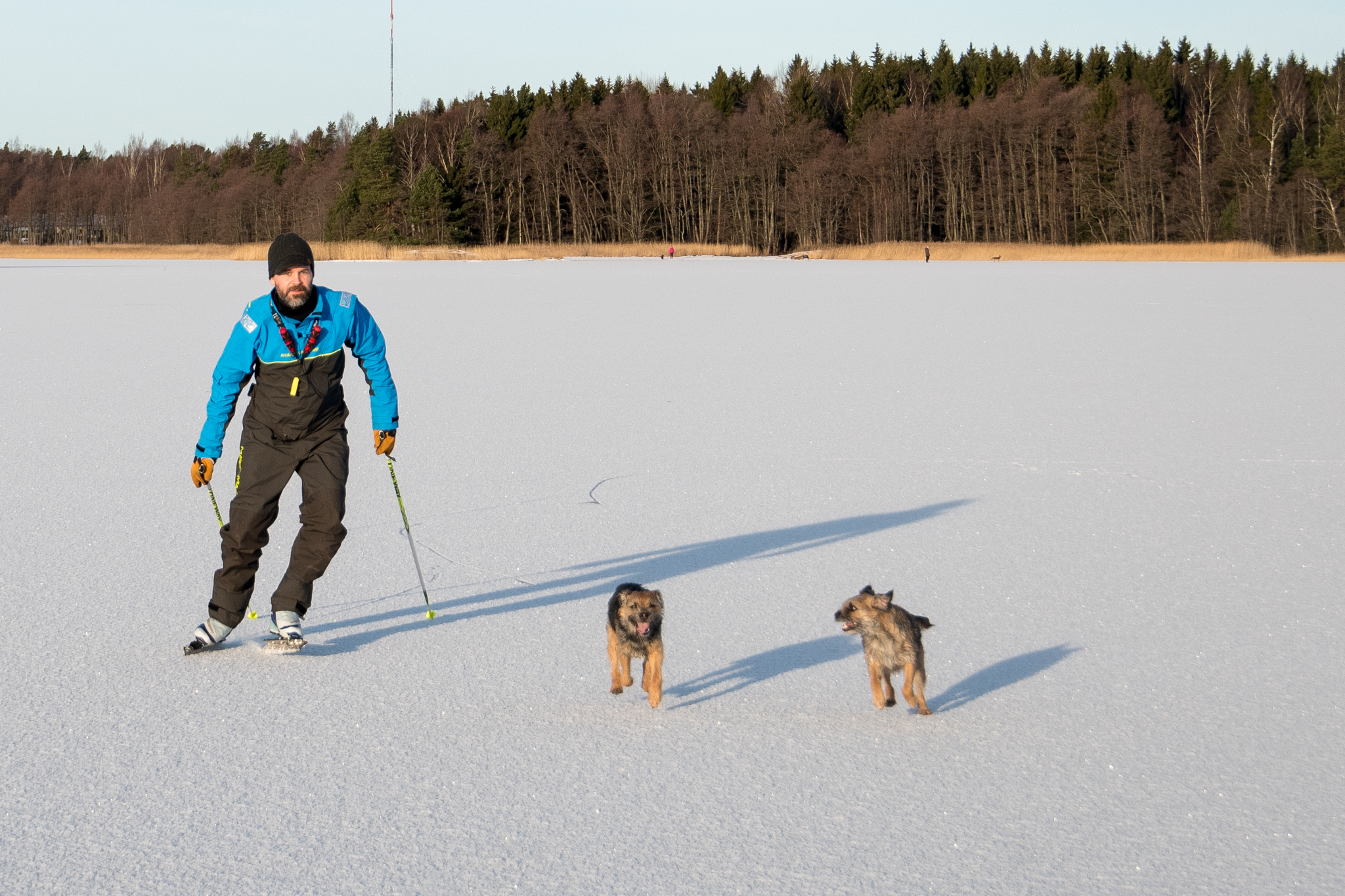 Räyh räyh! Huikeita spurtteja luvassa!