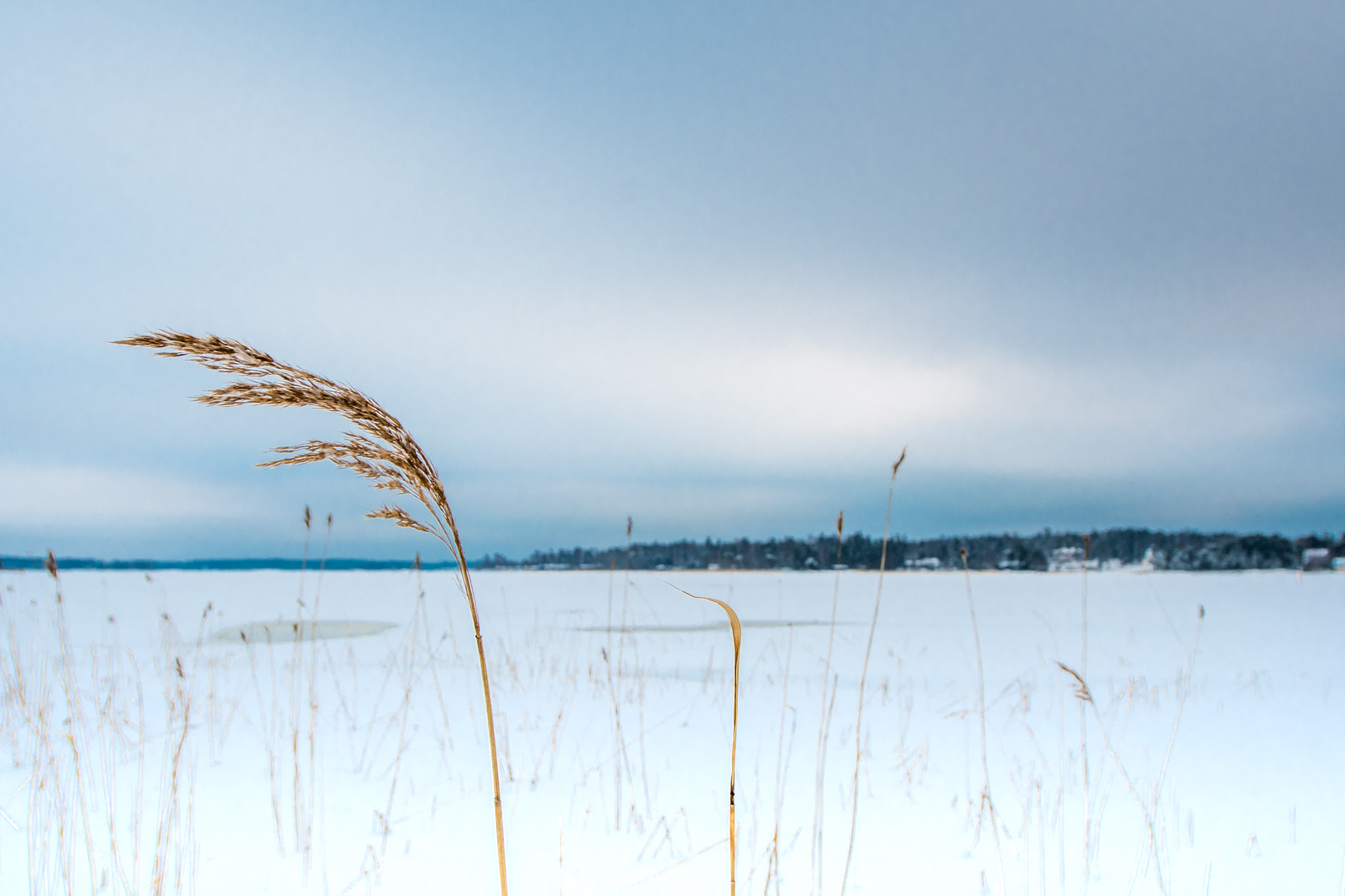 20180209_155113_Maisema_Jää_Talvi-2